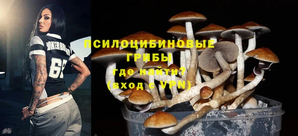 СК Алзамай